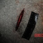 Stabbed woman in morgue