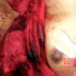 Amanda Marinho da Silva