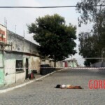 Amanda Marinho da Silva