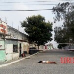 Amanda Marinho da Silva