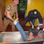 Girl stabbed to death