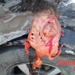 Terrible traffic accident