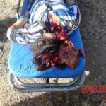 Terrible traffic accident