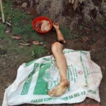 Butchered Indonesian wife