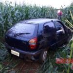 Woman crashed her car into field