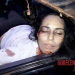 Woman crashed her car into field