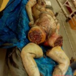 Dismembered female body