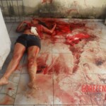 Michele Efigênia Ribeiro de Souza