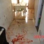 Michele Efigênia Ribeiro de Souza