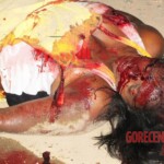 Shot dead brazilian woman