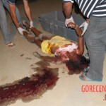 Shot dead brazilian woman