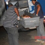 Shot dead brazilian woman
