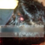 Shot dead brazilian woman