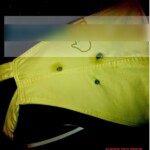 Shot dead brazilian woman