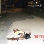 Shot dead brazilian woman