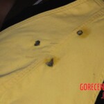 Shot dead brazilian woman