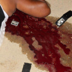 Shot dead brazilian woman