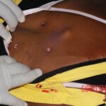 Shot dead brazilian woman