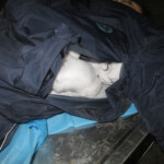 Raped schoolgirl suicide