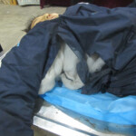 Raped schoolgirl suicide