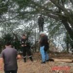 Valeria Nicole Maravilla Escobar