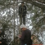 Valeria Nicole Maravilla Escobar