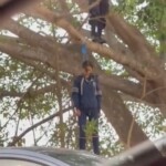 Valeria Nicole Maravilla Escobar