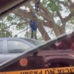 Valeria Nicole Maravilla Escobar