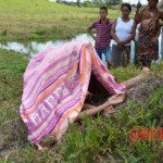 Renata Santos de Oliveira