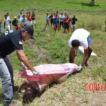 Renata Santos de Oliveira