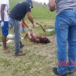 Renata Santos de Oliveira