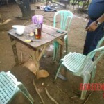 Young girl shot dead