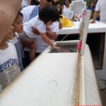 Funeral of young girl
