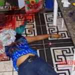 Alice Pereira Santos