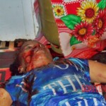 Alice Pereira Santos