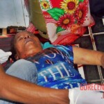 Alice Pereira Santos