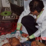 Alice Pereira Santos