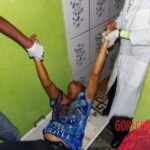 Alice Pereira Santos