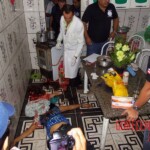 Alice Pereira Santos