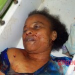 Alice Pereira Santos