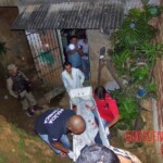 Alice Pereira Santos