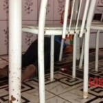 Alice Pereira Santos