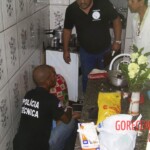 Alice Pereira Santos