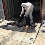 7 rotting bodies found in shipping container