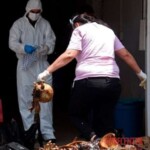 7 rotting bodies found in shipping container