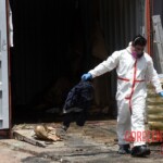 7 rotting bodies found in shipping container