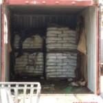 7 rotting bodies found in shipping container