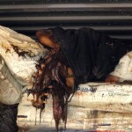 7 rotting bodies found in shipping container