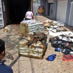 7 rotting bodies found in shipping container