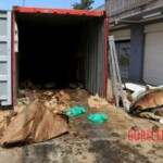 7 rotting bodies found in shipping container
